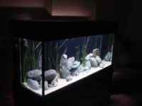 /album/ozlempetshop/images-1-jpg/